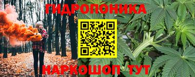 круглые Краснознаменск