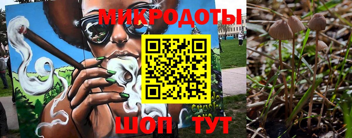 Псилоцибиновые грибы Psilocybine cubensis Калач-на-Дону