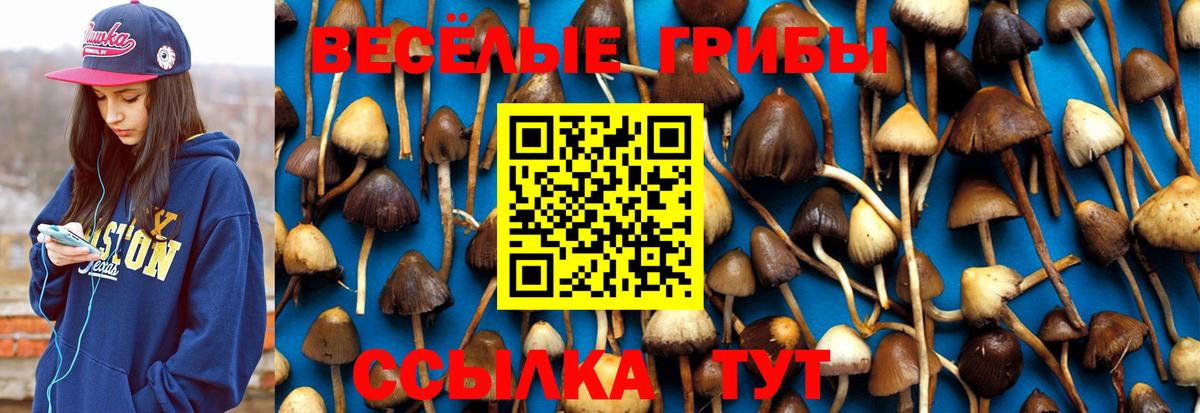 Калач-на-Дону  Псилоцибиновые грибы GOLDEN TEACHER  Вход с VPN 