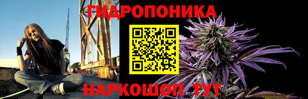 Канабис Bruce Banner  Шишки марихуана Amnesia  Калач-на-Дону  Бошки Шишки ГИДРОПОН  Вход с VPN 
